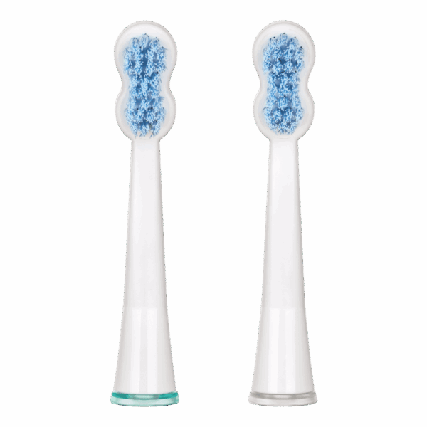 Têtes de brosse blanchissantes edel+white